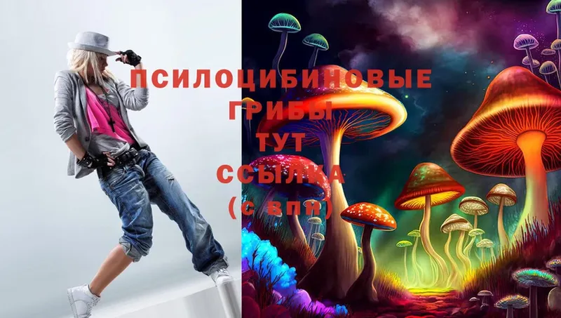 купить закладку  Балахна  Псилоцибиновые грибы MAGIC MUSHROOMS 